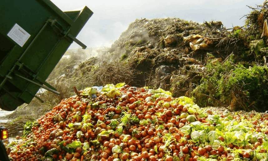 如何進行無害化果蔬垃圾處理？